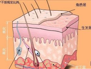 客服微信